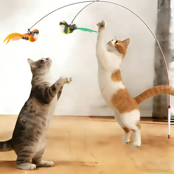 Training