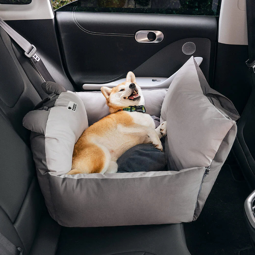 Orthopedic Car Safety Seat