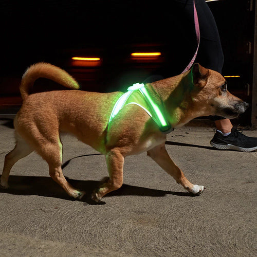 LED Safety Night-Walking Leash