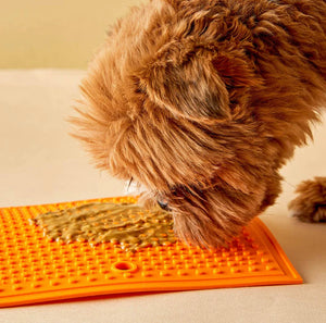 Suction Cup Lick Mat
